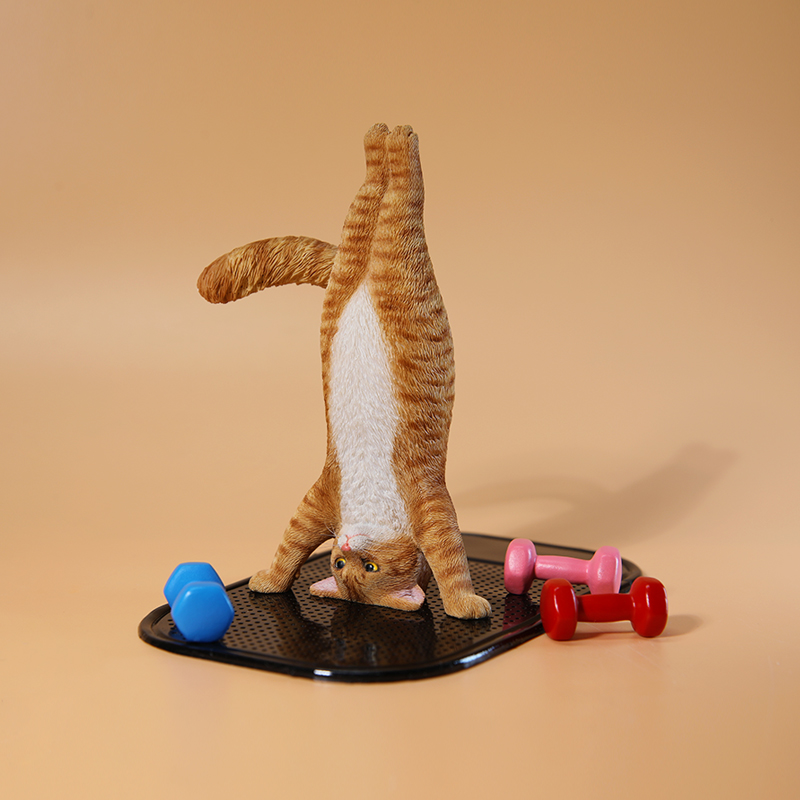 Mini gato de Fitness simulado  - Yoga In Fitness First reseña y precio